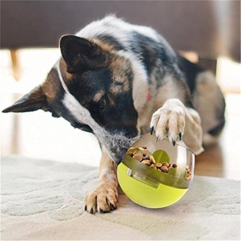 Huevo Dispensador Comida De Perros