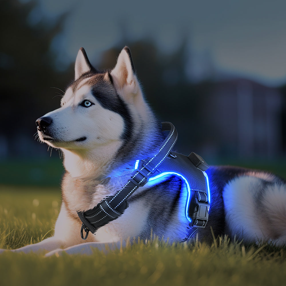 Arnés LED Ergonómico PRO