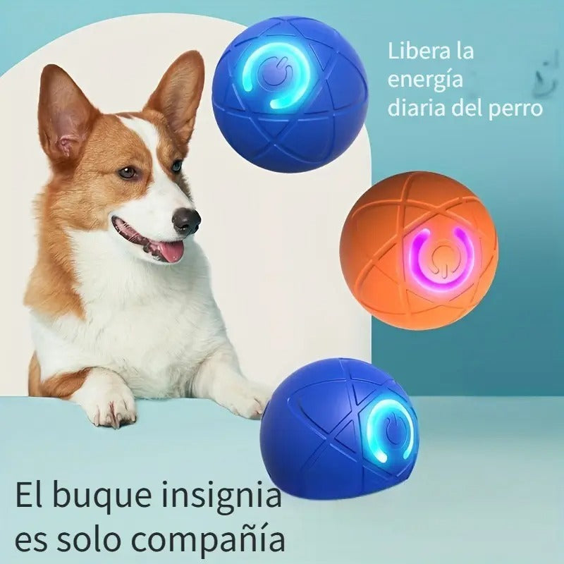 Juguete saltarin para perros