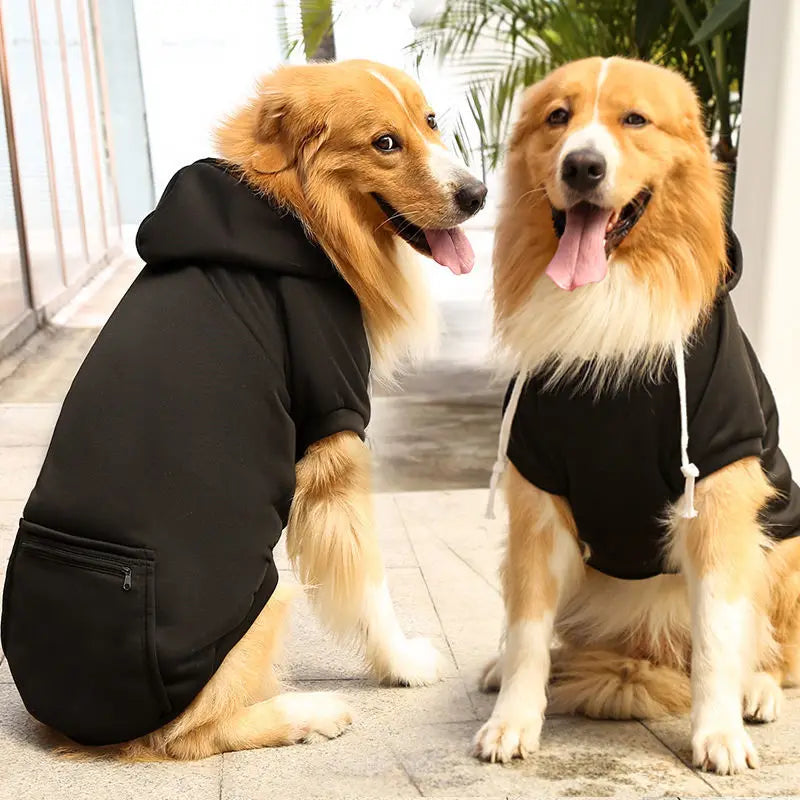 🏆🐶 UrbanPaws Hoodie™ – Polerón Deportivo para Perros con Estilo