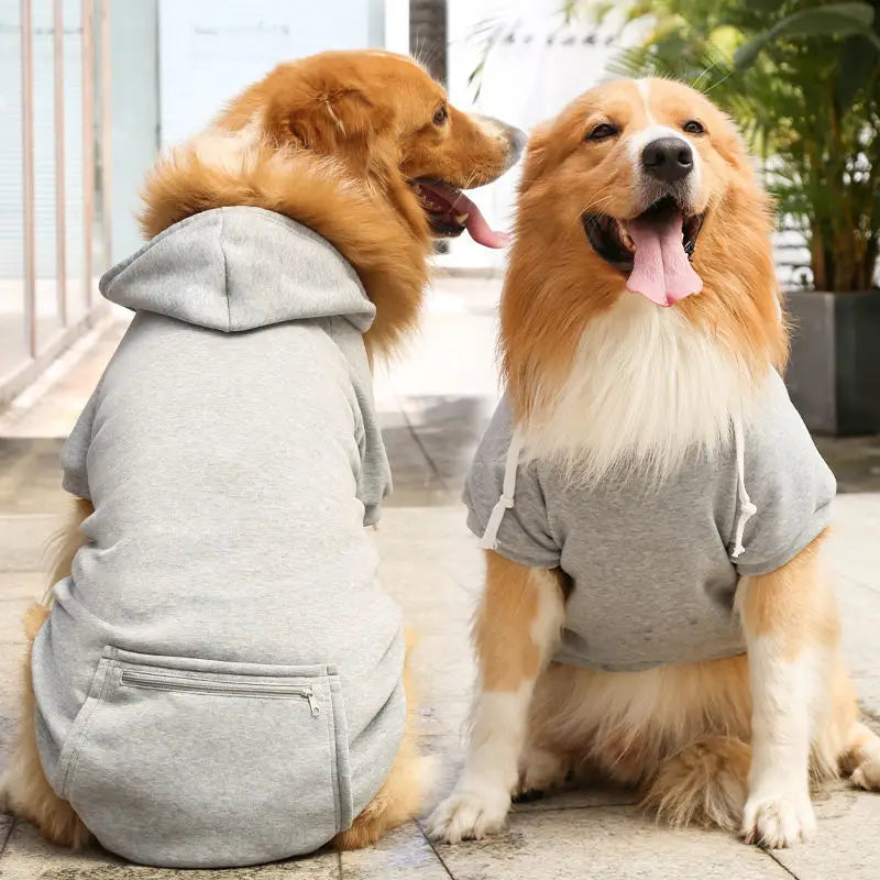 🏆🐶 UrbanPaws Hoodie™ – Polerón Deportivo para Perros con Estilo