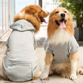 🏆🐶 UrbanPaws Hoodie™ – Polerón Deportivo para Perros con Estilo