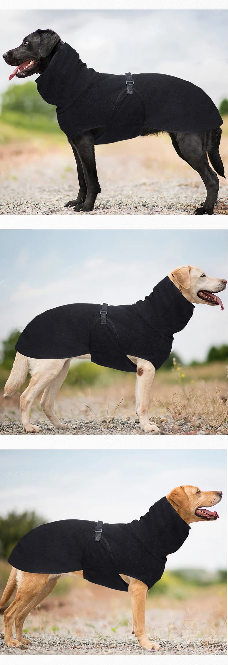 ❄️🐶 PolarPaws Jacket™ – Chaqueta Térmica para Perros de Todos los Tamaños