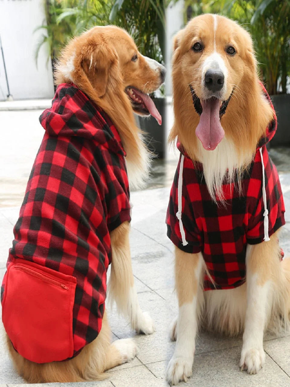 🏆🐶 UrbanPaws Hoodie™ – Polerón Deportivo para Perros con Estilo