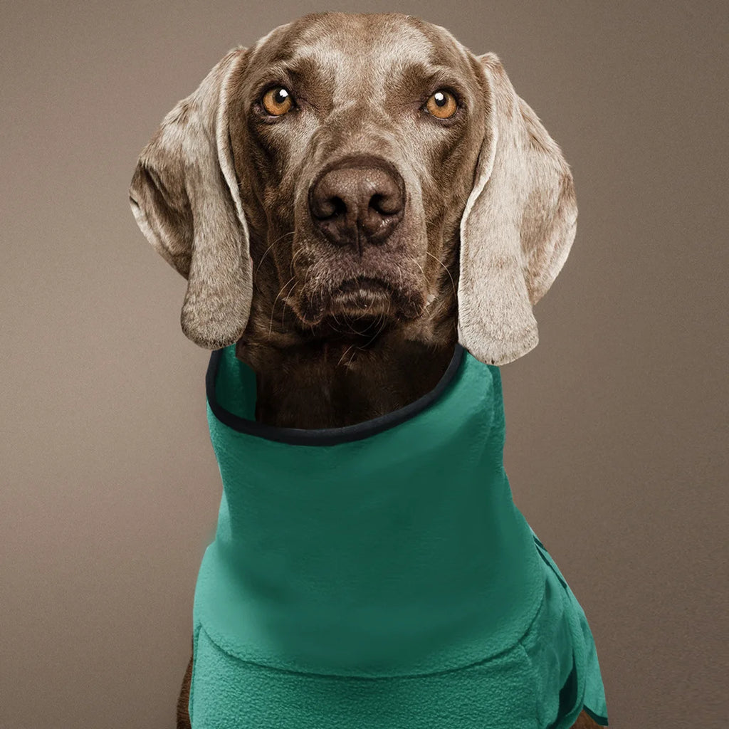 ❄️🐶 PolarPaws Jacket™ – Chaqueta Térmica para Perros de Todos los Tamaños