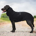 ❄️🐶 PolarPaws Jacket™ – Chaqueta Térmica para Perros de Todos los Tamaños