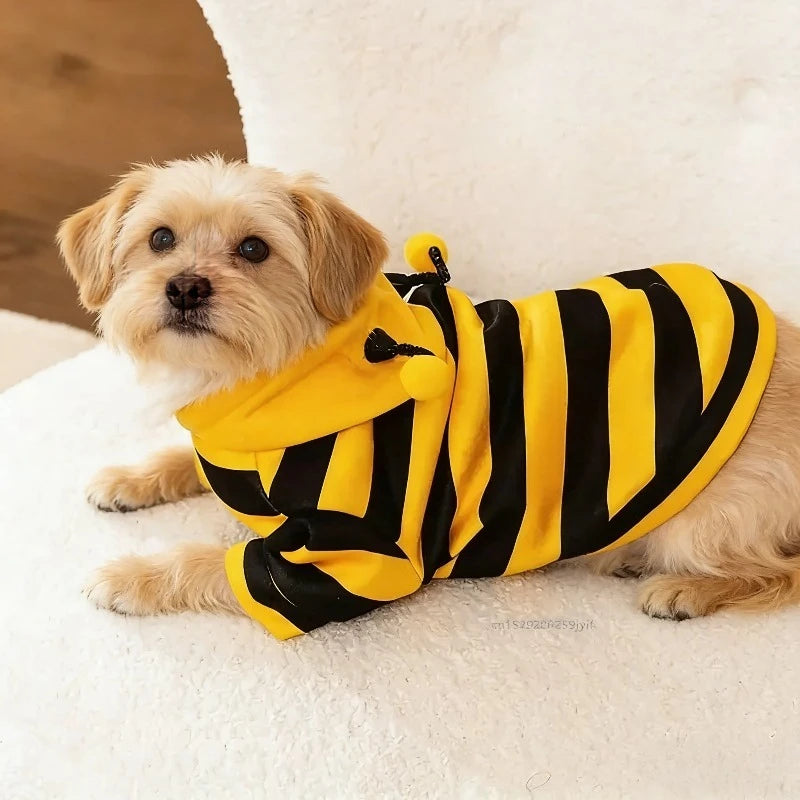 🐝✨ BeePaws Hoodie™ – Polerón Disfraz de Abejita para Mascotas 🐶🐱