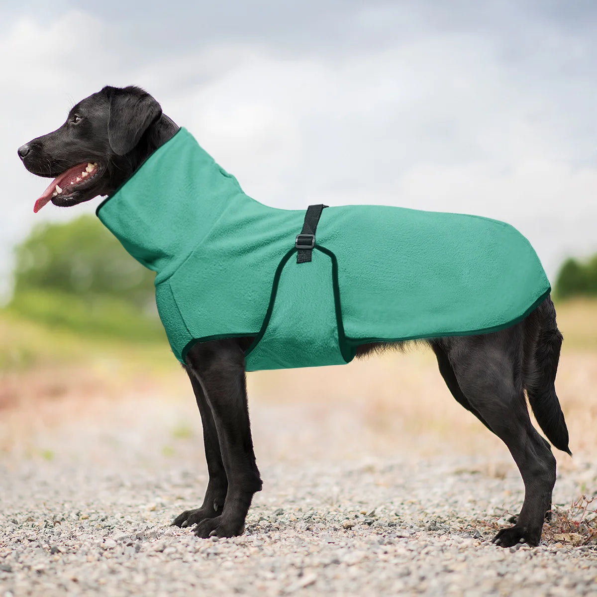 ❄️🐶 PolarPaws Jacket™ – Chaqueta Térmica para Perros de Todos los Tamaños