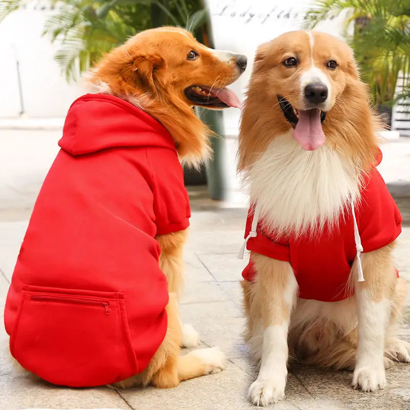 🏆🐶 UrbanPaws Hoodie™ – Polerón Deportivo para Perros con Estilo