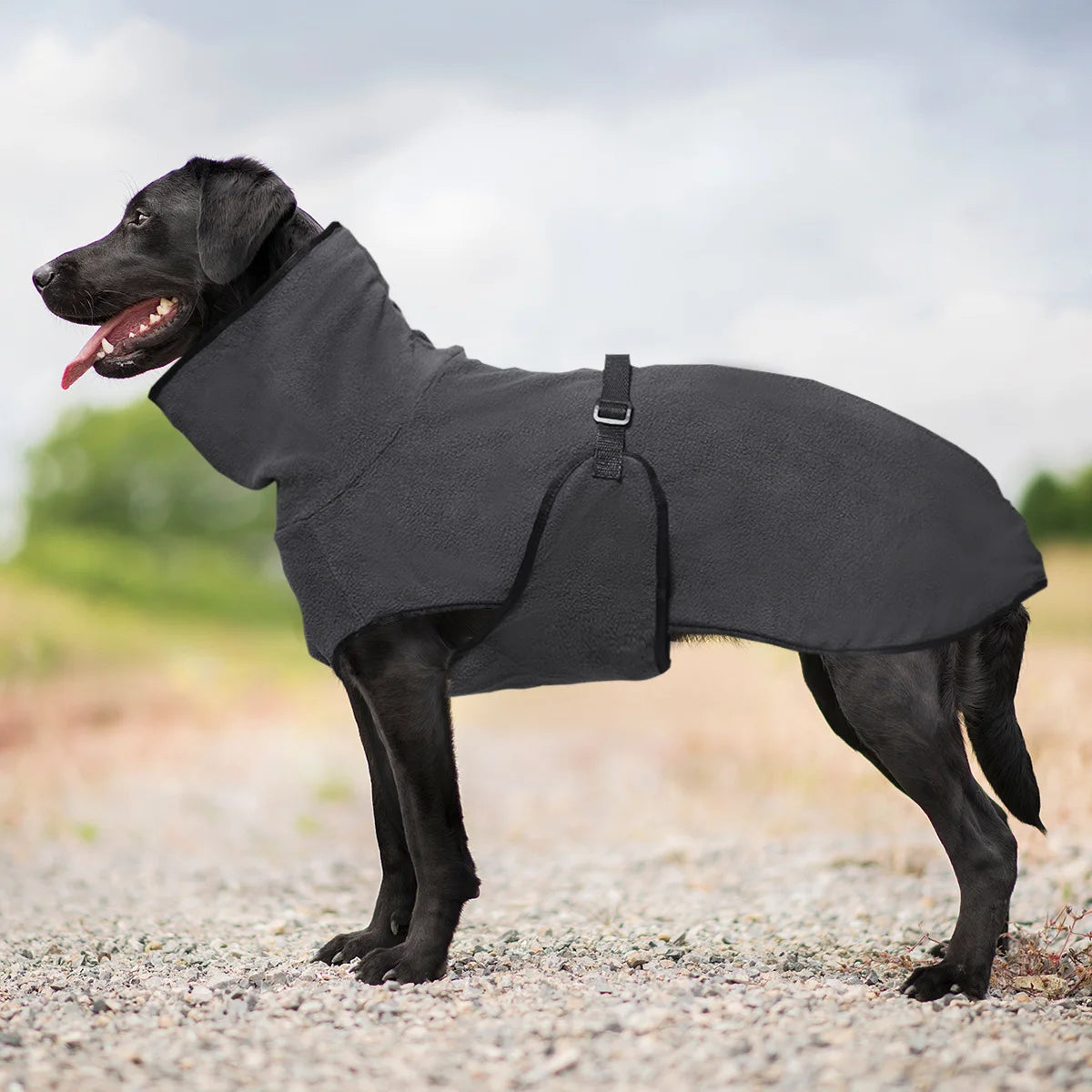 ❄️🐶 PolarPaws Jacket™ – Chaqueta Térmica para Perros de Todos los Tamaños