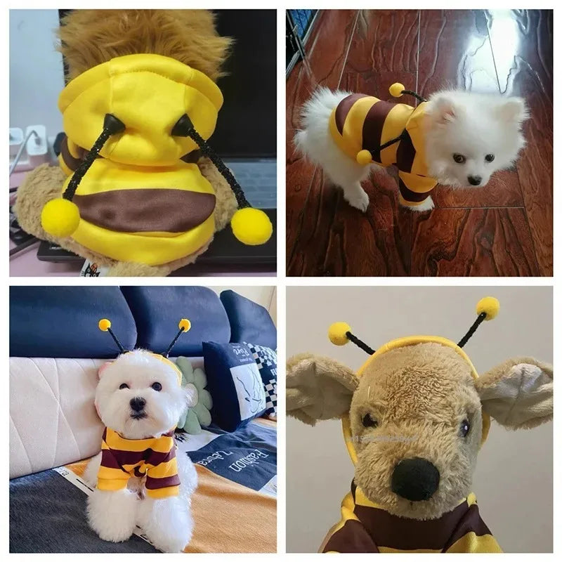 🐝✨ BeePaws Hoodie™ – Polerón Disfraz de Abejita para Mascotas 🐶🐱