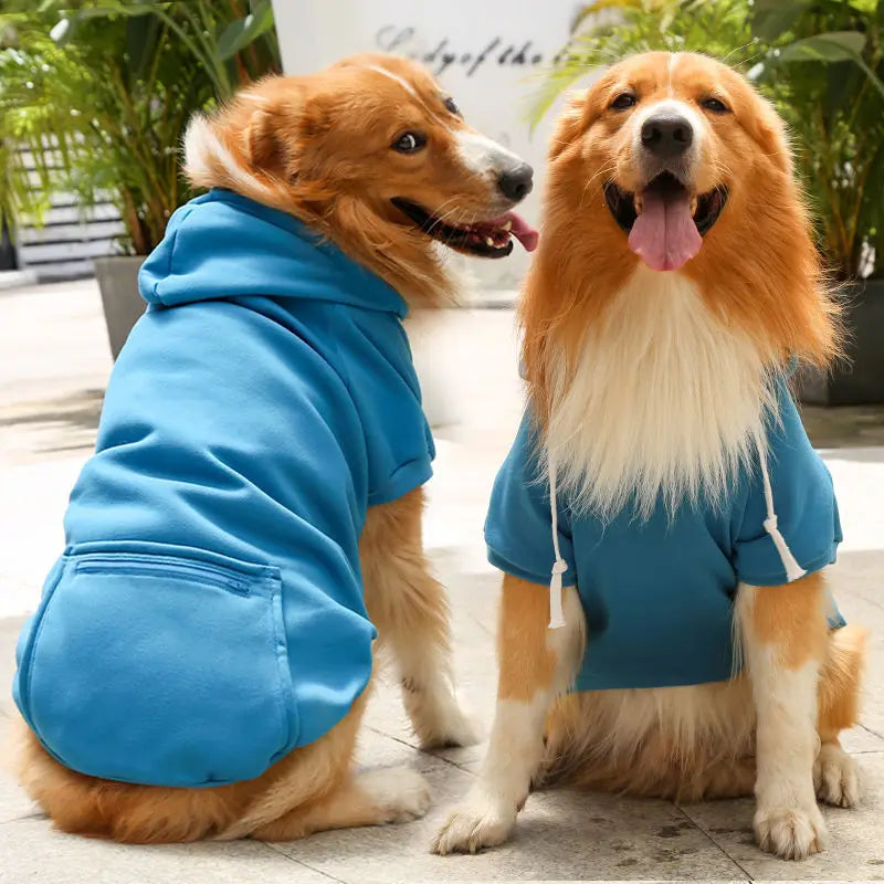🏆🐶 UrbanPaws Hoodie™ – Polerón Deportivo para Perros con Estilo