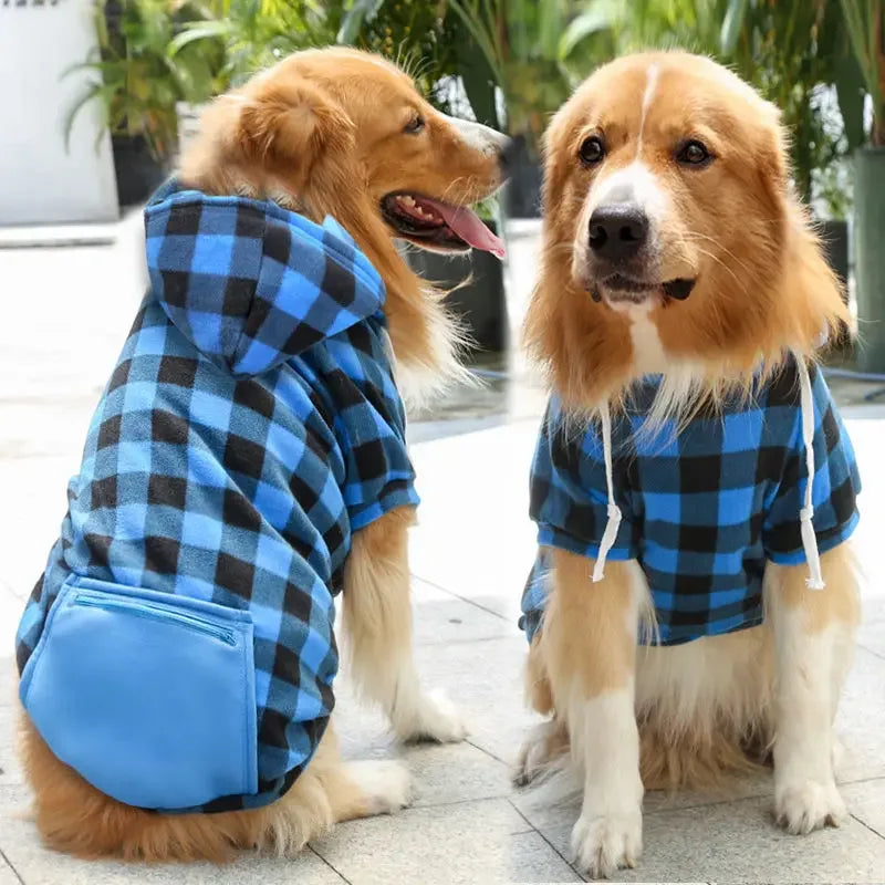 🏆🐶 UrbanPaws Hoodie™ – Polerón Deportivo para Perros con Estilo