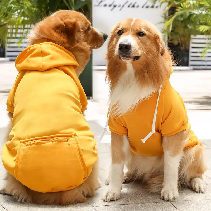 🏆🐶 UrbanPaws Hoodie™ – Polerón Deportivo para Perros con Estilo