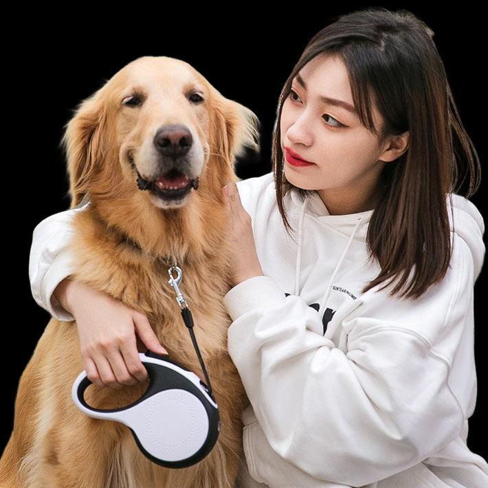 CORREA RECTRACTIL PARA PERRO