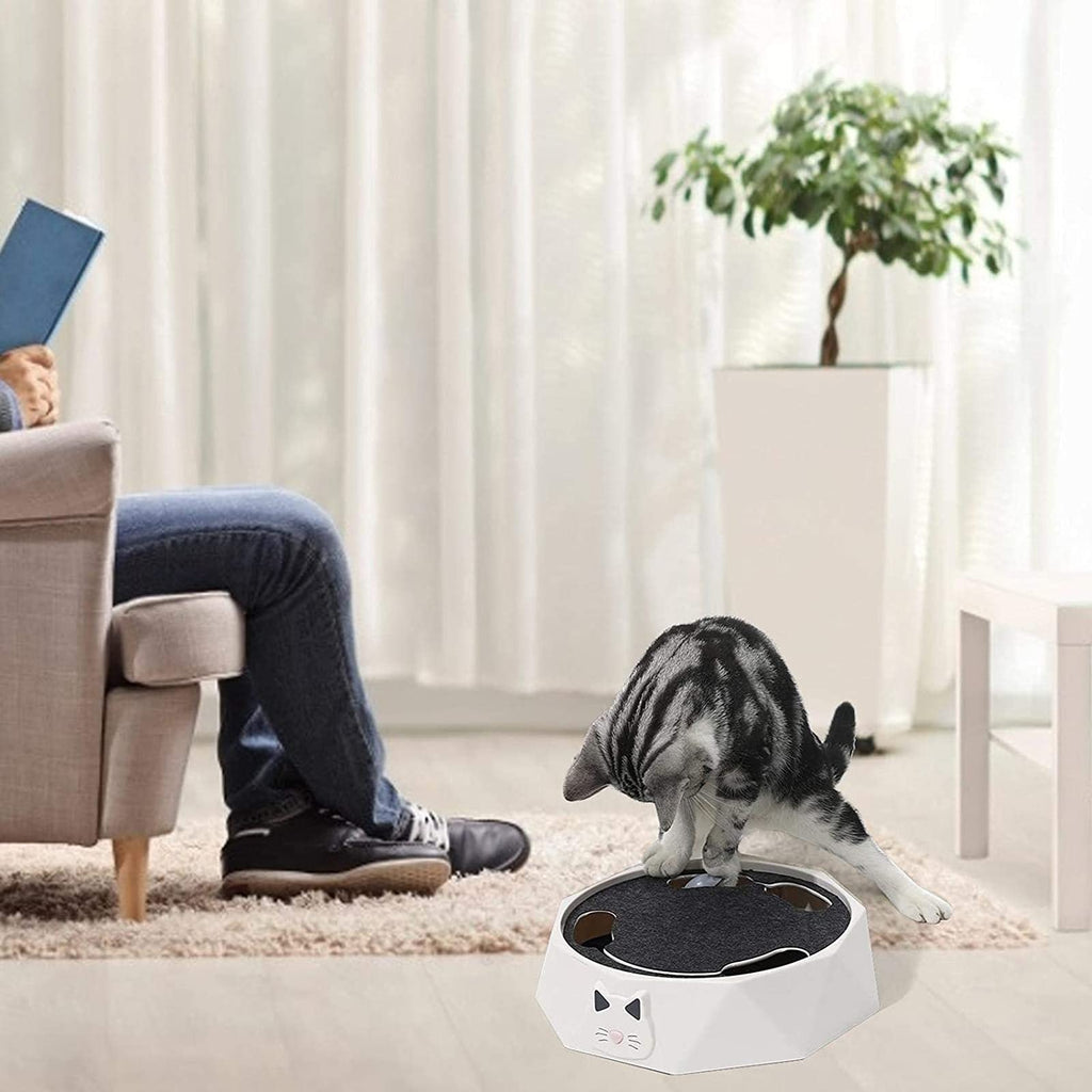 TOCADISCOS PARA GATO ELECTRICO