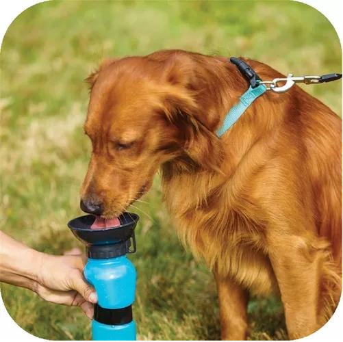 Botella de agua portátil para mascota