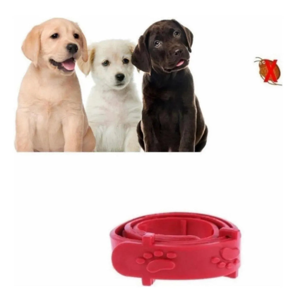 COLLAR ANTI PULGAS PARA PERROS Y GATOS